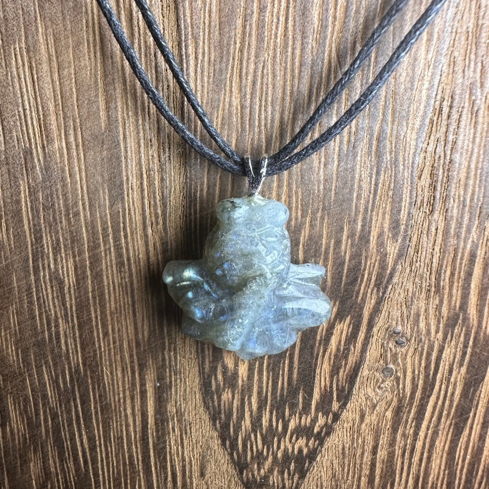 Blue Flash Labradorite Goldfish Pendant Necklace on Black Rope